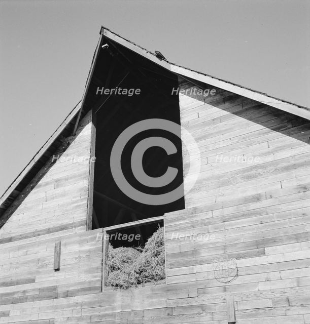 Detail of barn in northern Oregon, Irrigon, Morrow County, Oregon, 1939. Creator: Dorothea Lange.
