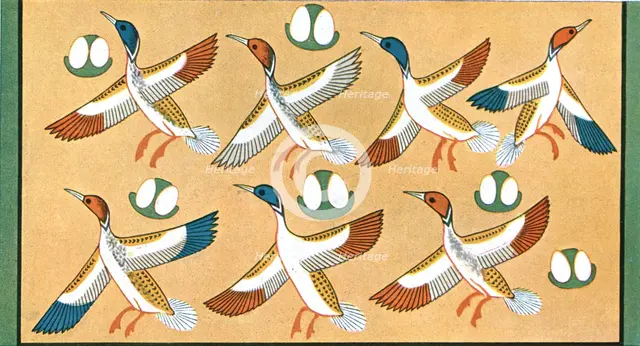 Detail of ceiling painting in the tomb of 'Aichesi', Thebes, Egypt, (1928). Creator: Unknown.