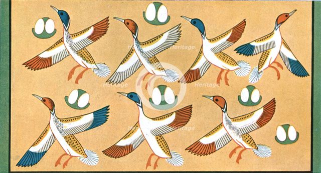 Detail of ceiling painting in the tomb of 'Aichesi', Thebes, Egypt, (1928). Creator: Unknown.
