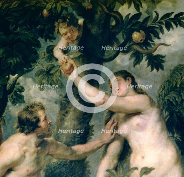 Detail of painting by Peter Paul Rubens (1577 - 1640) 'Adam and Eve', preserved in the Prado Muse…