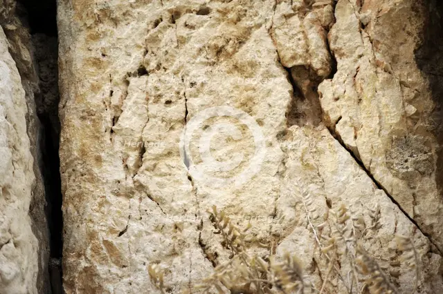 Detail of Western Wall, Jerusalem, Israel, 2013. Creator: LTL.