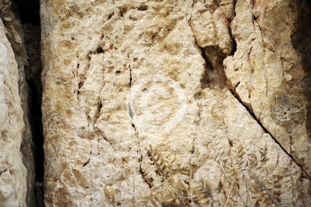 Detail of Western Wall, Jerusalem, Israel, 2013. Creator: LTL.