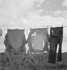 Detail on Kytta farm, Michigan Hill, Thurston County, Western Washington, 1939. Creator: Dorothea Lange