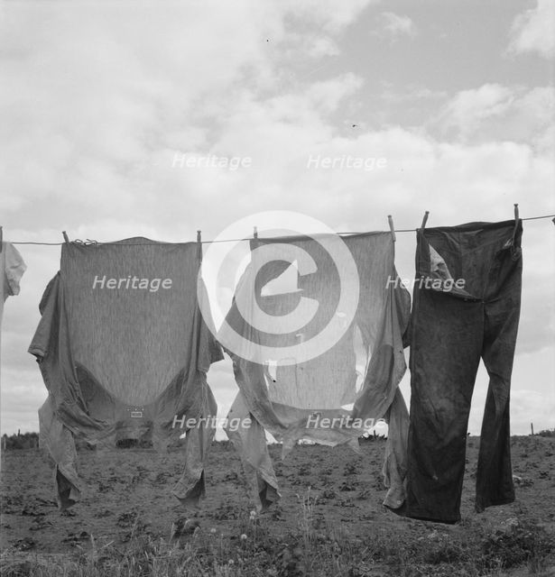 Detail on Kytta farm, Michigan Hill, Thurston County, Western Washington, 1939. Creator: Dorothea Lange.