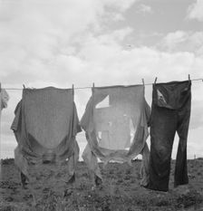 Detail on Kytta farm, Michigan Hill, Thurston County, Western Washington, 1939. Creator: Dorothea Lange