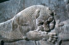 Detail from a relief of a lion attacking a bull, the Apadana, Persepolis, Iran. Creator: Vivienne Sharp