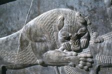 Detail from a relief of a lion attacking a bull, the Apadana, Persepolis, Iran