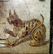 Detail from Roman mosaic showing a cat, Pompeii, Italy. Creator: Unknown