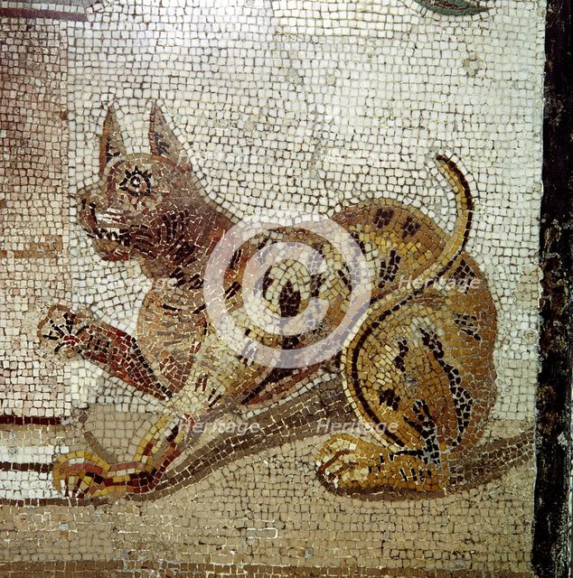 Detail from Roman mosaic showing a cat, Pompeii, Italy. Creator: Unknown.