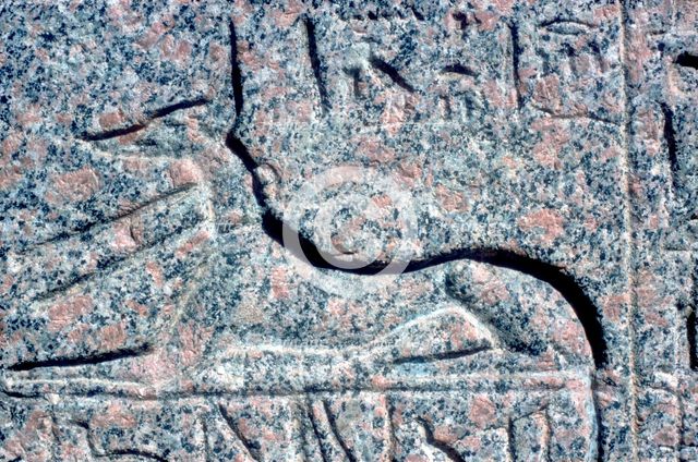 Detail from relief on granite sarcophagus of Anubis, Memphis, Egypt, Middle kingdom period. Artist: Unknown
