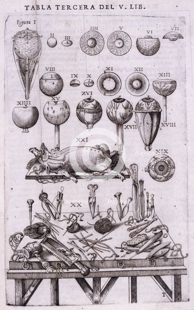 Details of anatomy of the eye and anatomical instruments, 1556.  Creator: Nicolas Beatrizet.