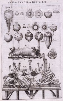Details of anatomy of the eye and anatomical instruments, 1556. Creator: Nicolas Beatrizet