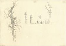 Devastated Trees [verso], 1918. Creator: John Singer Sargent