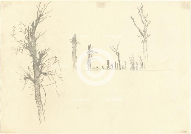 Devastated Trees [verso], 1918. Creator: John Singer Sargent.