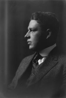 Devine, Edward L., Mr., portrait photograph, 1917 Oct. 18. Creator: Arnold Genthe