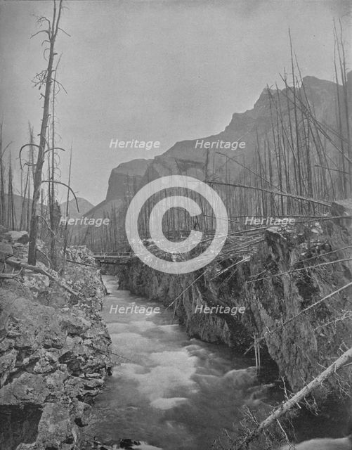 'Devil's Canyon, Banff, N. W. T., Canada', c1897. Creator: Unknown.