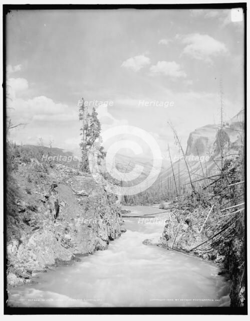 Devil's Canon i.e. Canyon, looking up, Alberta, c1902. Creator: Unknown.
