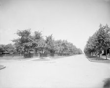 Devonshire Road, looking north, Walkerville, Ont., between 1905 and 1915. Creator: Unknown
