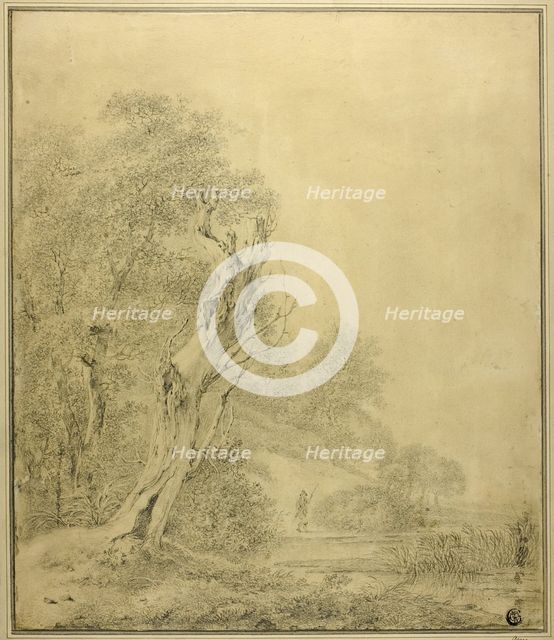 Dead Tree at Water's Edge, Figure Approaching with Pole, n.d. Creator: Possibly Jacob van Ruisdael Dutch, 1628/29-1683.