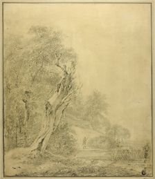 Dead Tree at Water's Edge, Figure Approaching with Pole, n.d. Creator: Possibly Jacob van Ruisdael Dutch, 1628/29-1683