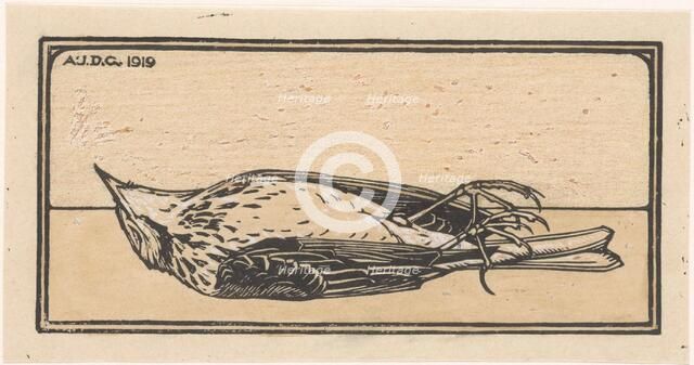 Dead bird, 1919. Creator: Julie de Graag.