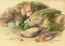 Dead Birds, 1875-1899. Creator: George Reid