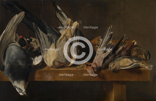 Dead Birds. Creator: Elias Vonck.