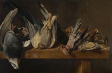 Dead Birds. Creator: Elias Vonck