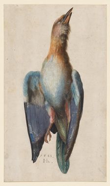 Dead Blue Roller, 1583. Creator: Hans Hoffmann (German, 1545/50-1591/92)