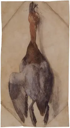 Dead Duck, ca 1502 (or ca 1512). Creator: Dürer, Albrecht (1471-1528)