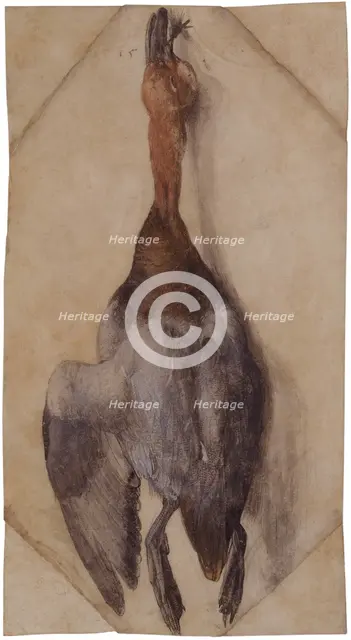 Dead Duck, ca 1502 (or ca 1512). Creator: Dürer, Albrecht (1471-1528).