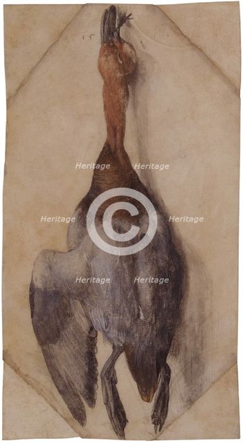 Dead Duck, ca 1502 (or ca 1512). Creator: Dürer, Albrecht (1471-1528).