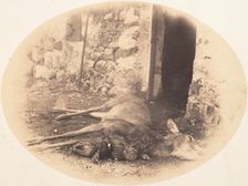 Dead Female Deer and Game Bird, ca. 1856-59. Creator: Horatio Ross