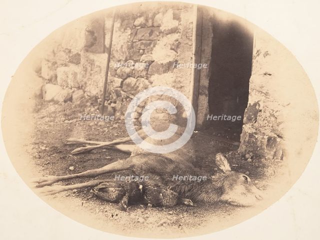 Dead Female Deer and Game Bird, ca. 1856-59. Creator: Horatio Ross.