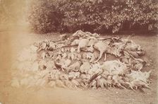 Dead Game, Perthshire, from an album compiled by Sir John Everett Millais. Creator: Unknown