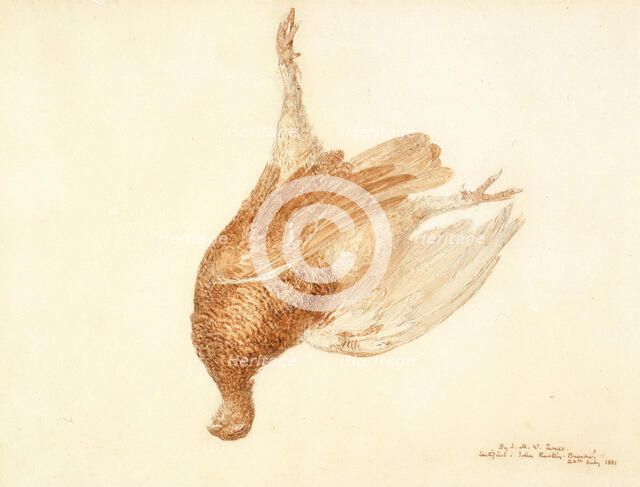 Dead Grouse, 1815-1820. Creator: JMW Turner.