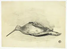 Dead Grouse, n.d. Creator: Henry LeJeune