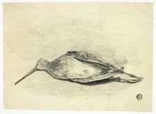 Dead Grouse, n.d. Creator: Henry LeJeune