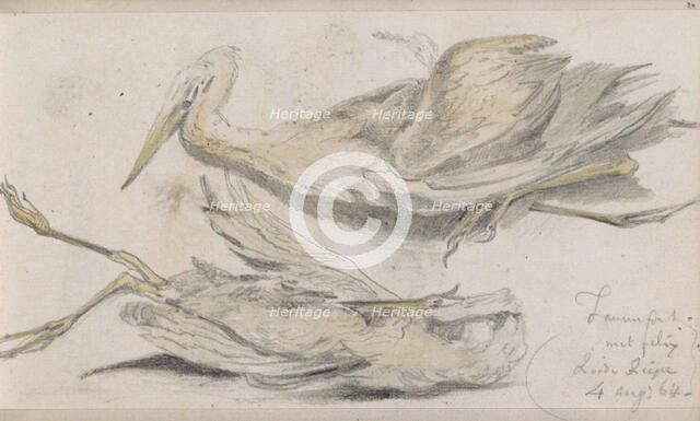 Dead Heron, 1864. Creator: Johannes Tavenraat.