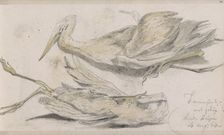Dead Heron, 1864. Creator: Johannes Tavenraat