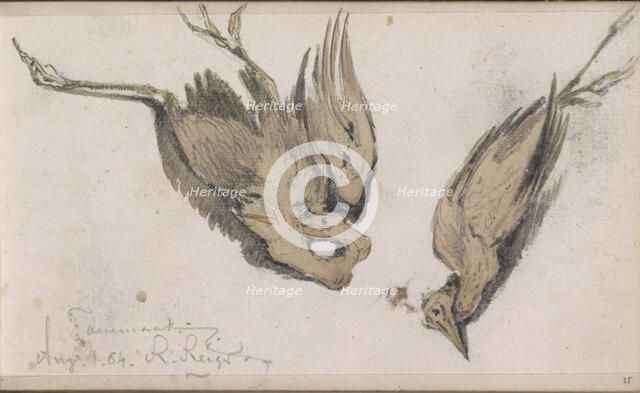 Dead Heron, 1864. Creator: Johannes Tavenraat.