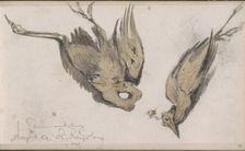 Dead Heron, 1864. Creator: Johannes Tavenraat