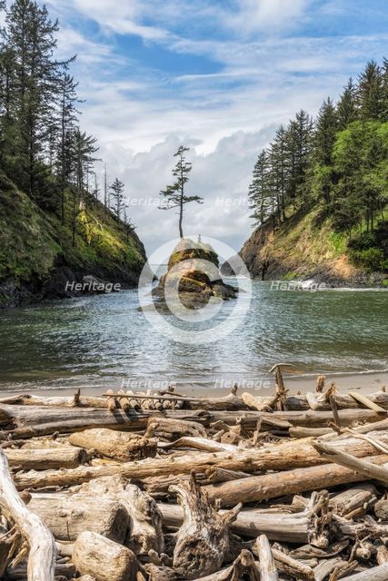 Dead Man's Cove. Creator: Joshua Johnston.