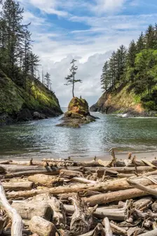 Dead Man's Cove. Creator: Joshua Johnston