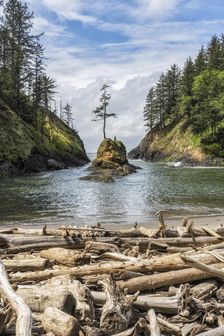 Dead Man's Cove. Creator: Joshua Johnston