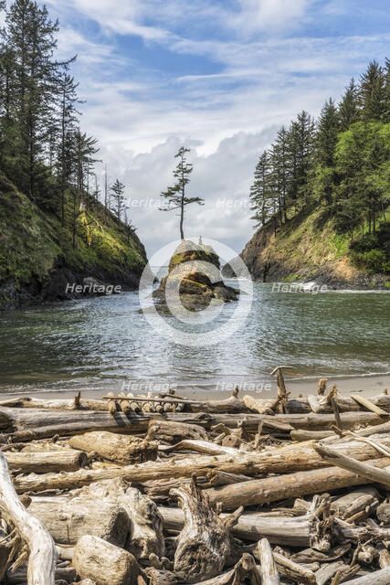 Dead Man's Cove. Creator: Joshua Johnston.