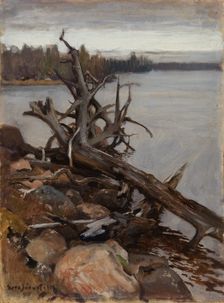 Dead Pine in the Water, 1898. Creator: Eero Jarnefelt