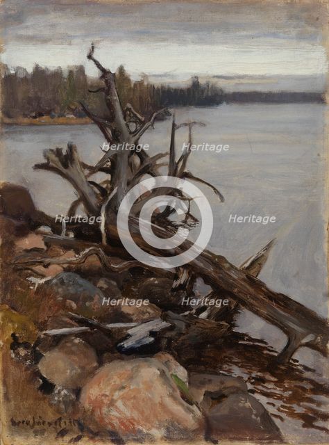 Dead Pine in the Water, 1898. Creator: Eero Jarnefelt.
