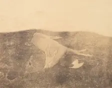 Dead Roe Buck, ca. 1856-59. Creator: Horatio Ross