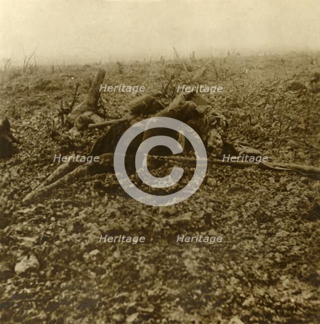 Dead soldier on Hill 304, after the Battle of Verdun, northern France, 1916. Artist: Unknown.